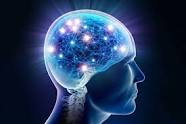Introducing: Excel - An All-Natural Nootropic