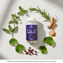 Load image into Gallery viewer, Excel - Brain &amp; Memory Health