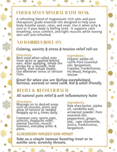 Load image into Gallery viewer, Holiday Wellness Sample Bag - Free w/ purchase over $125 - Elderberry Boost, LLC