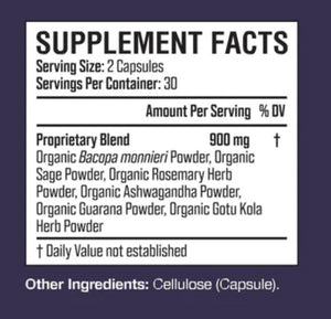 Labor Day Excel SALE - Elderberry Boost, LLC